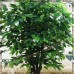 Искусственное дерево фикус мелколистный 175 см.