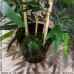 Искусственное дерево бамбук классический
