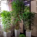 Искусственное дерево бамбук классический